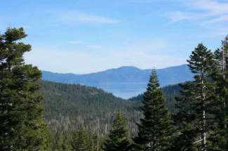 Alpine Peaks and Ward Creek