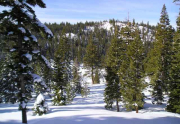 juniper-creek-winter-2