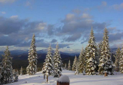 juniper-creek-winter