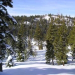 juniper-creek-winter-2