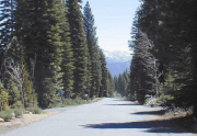 martiswood-street-view