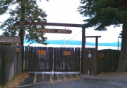 mckinney-shores