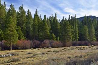 Sierra Tract