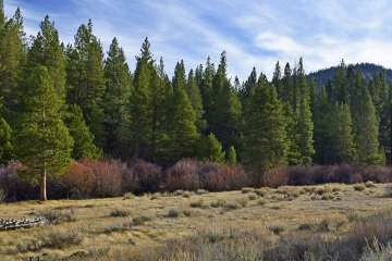 Sierra Tract