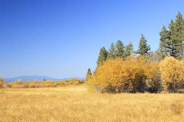 Tahoe Island