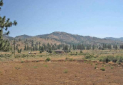loyalton-2