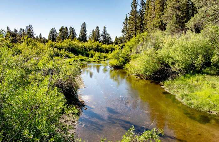Learn more about Sierra Tract