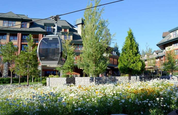 Learn more about Stateline