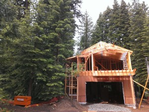 New Home for Sale in Lake Tahoe